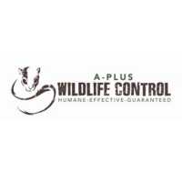 Read Wildlife Removal Logo
