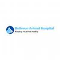 Bellevue Animal Hospital Logo
