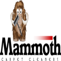 Mammoth Cleaners Inc Logo