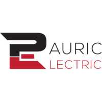 Pauric Electric San Francisco Logo