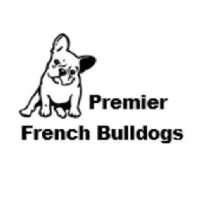 Premier French Bulldogs Logo