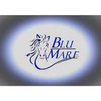 BluMare Research - Hose Bib Buddy Logo