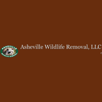 Asheville Wildlife Removal Logo