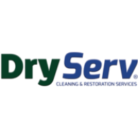DryServ Logo