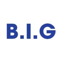 The Business Ingenuitive Group (The B.I.G.) Logo
