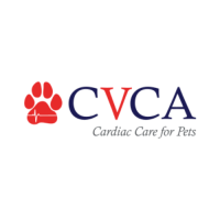 CVCA Castle Rock Logo