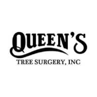 Queen's Tree Surgery, Inc Logo
