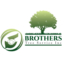 BrotherÂ´s Tree Service INC Logo