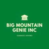 Big Mountain Genie, Inc. Logo