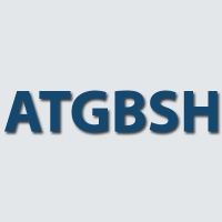 Advantage Team of GBS Real Estate Logo