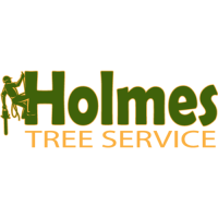 Holmes Tree Service Logo