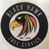 Black Hawk Tree Service Logo