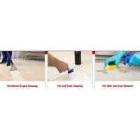 First Choice Carpet Cleaning Logo