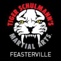 Tiger Schulmann's Martial Arts (Feasterville, PA) Logo