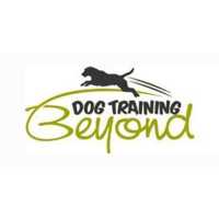 Dog Training Beyond Logo