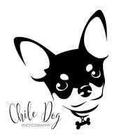 Chile Dog Photography Logo