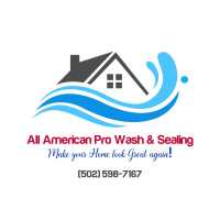 All American Pro Wash & Sealing Logo