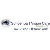 Low Vision of NY Logo