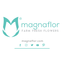 MAGNAFLOR Logo