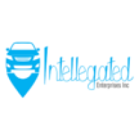 Intellegated Enterprises Logo