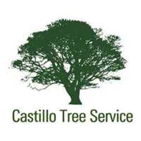 Castillo Tree Service LLC Logo