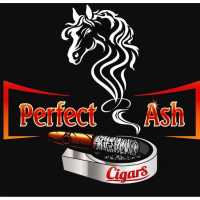 The Perfect Ash Logo