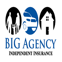 BIG Agency (Buechner Insurance Group) Logo