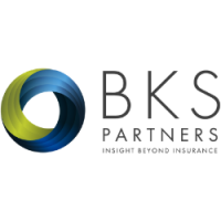BKS Partners Logo