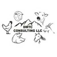 DMTC Consulting, LLC Logo