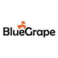 BlueGrape Staging and Design Logo