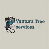 Ventura Tree Services LLC Logo