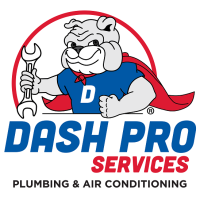 Dash Pro Services Logo