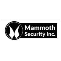 Mammoth Security Inc. Norwalk Logo