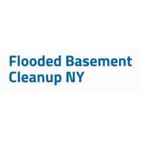 Basement Water Removal & Clean UP Logo