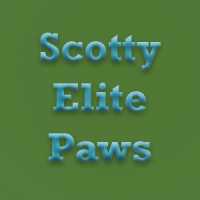 Scotty Elite Paws Logo