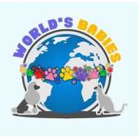World's Babies Logo