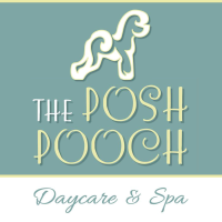The Posh Pooch - Dog Daycare, Grooming, Training, Pick-Up and Drop-Off Logo