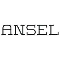 BLVD Ansel Logo