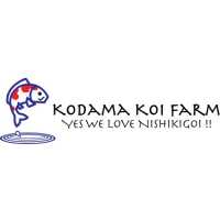 Kodama Koi Farm Logo