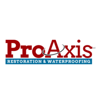 ProAxis LLC Logo