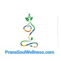 Prana Soul Wellness Logo