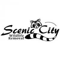 Scenic City Wildlife Removal Logo