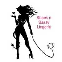 Sheek n Sassy Lingerie Logo