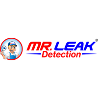Mr. Leak Detection of Columbus Logo