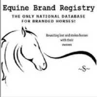 Equine Brand Registry Logo