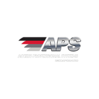 Access Professional Systems Logo
