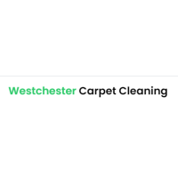 Carpet Cleaning Service NY Logo