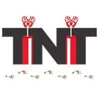 TNT Consulting Firm LLC Logo
