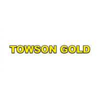 Towson Gold Logo