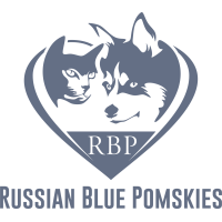 Russian Blue Pomskies Logo